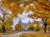 Logan Temple - Tunnel of Fall by Scott Jarvie