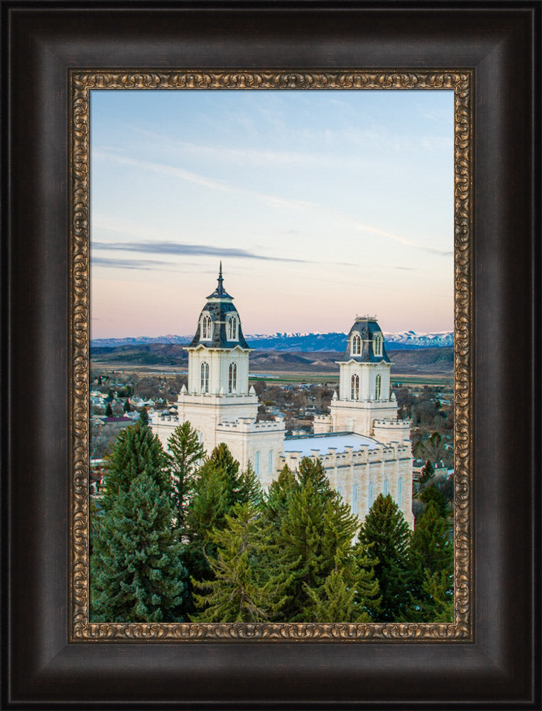 Manti Temple - Above the Trees by Scott Jarvie