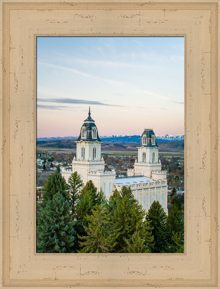 Manti Temple - Above the Trees by Scott Jarvie