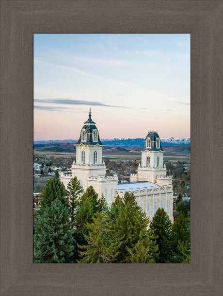 Manti Temple - Above the Trees by Scott Jarvie