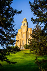 Manti Temple - Through the Trees by Scott Jarvie