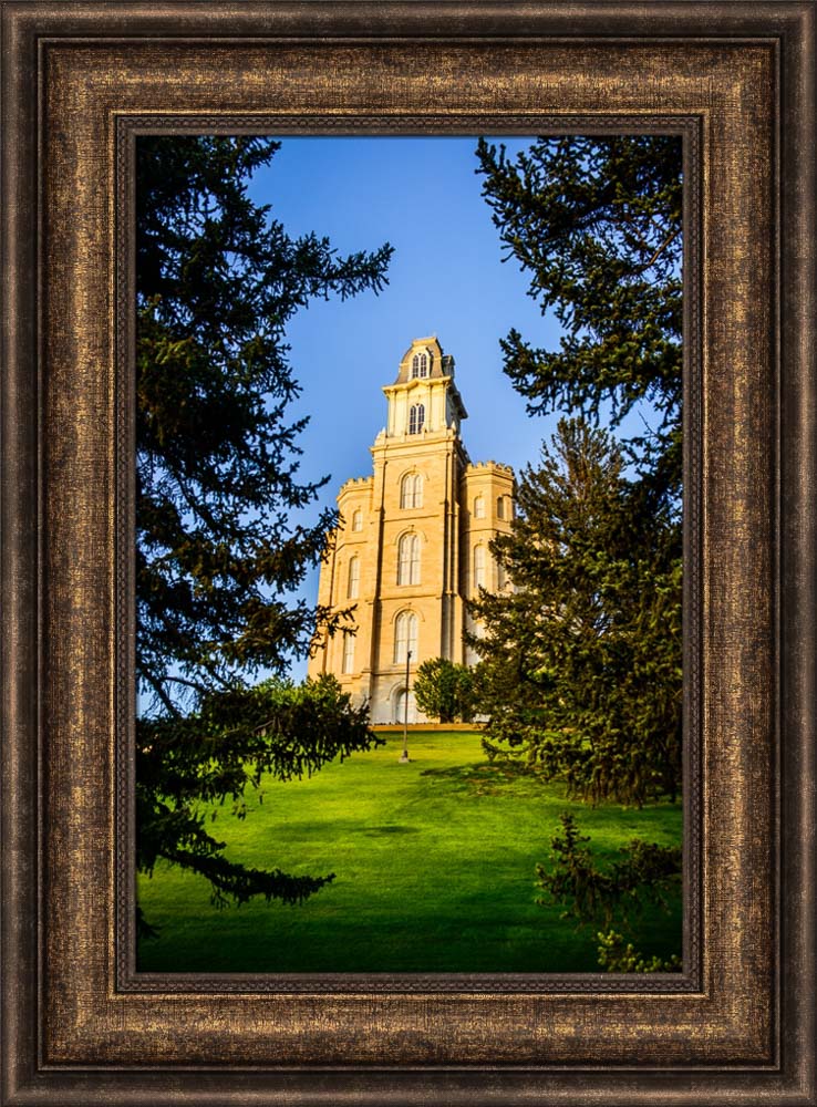 Manti Temple - Through the Trees by Scott Jarvie