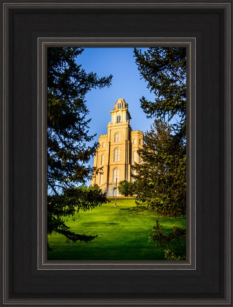 Manti Temple - Through the Trees by Scott Jarvie