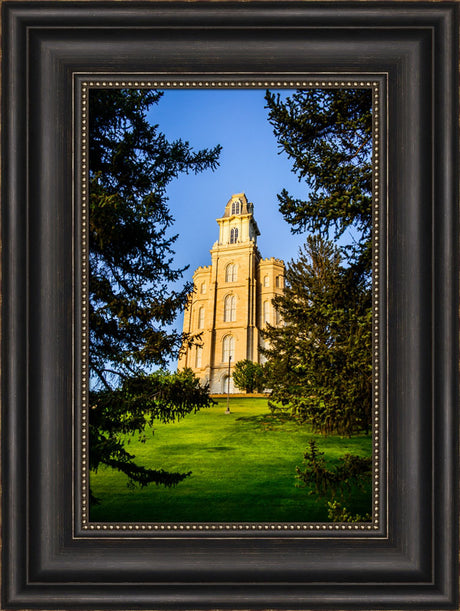 Manti Temple - Through the Trees by Scott Jarvie