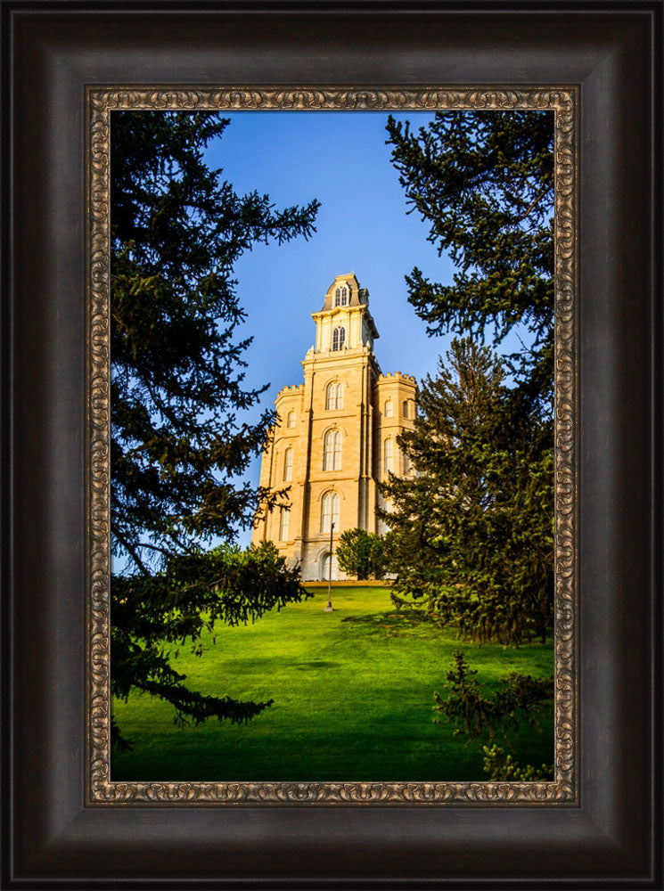 Manti Temple - Through the Trees by Scott Jarvie