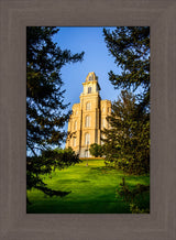 Manti Temple - Through the Trees by Scott Jarvie