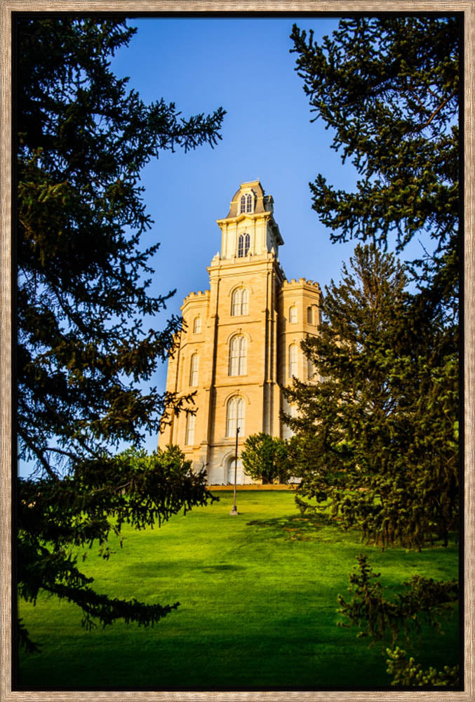 Manti Temple - Through the Trees by Scott Jarvie