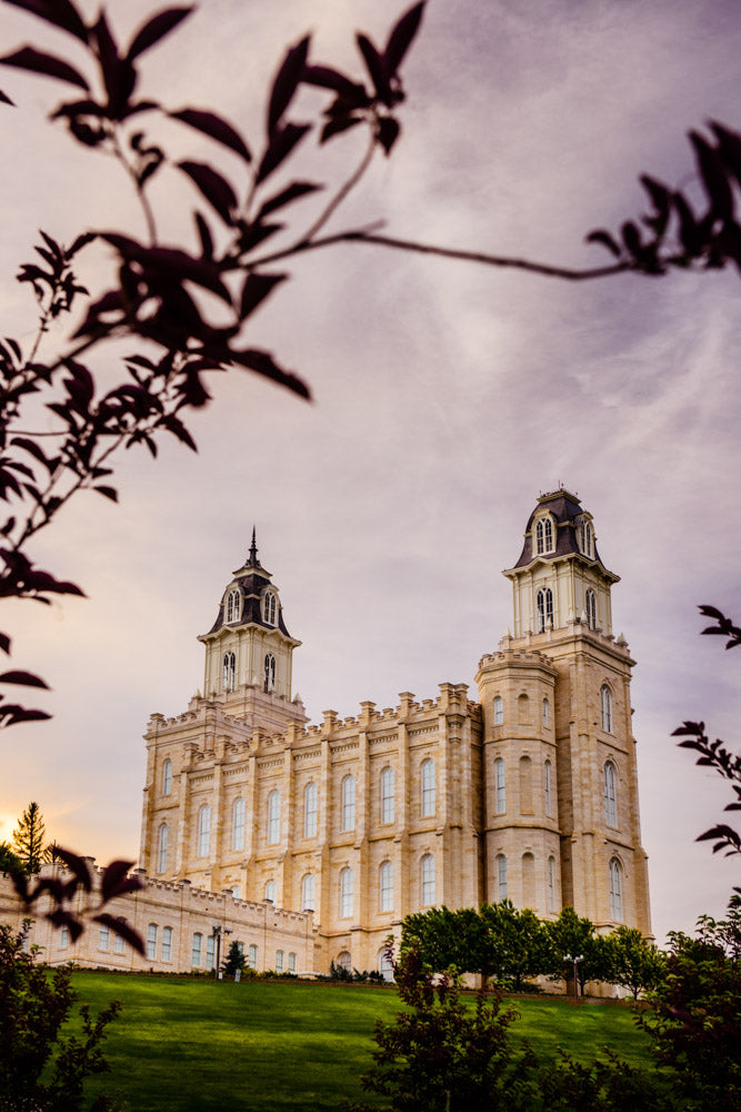 Manti Temple - Framed by Leaves by Scott Jarvie