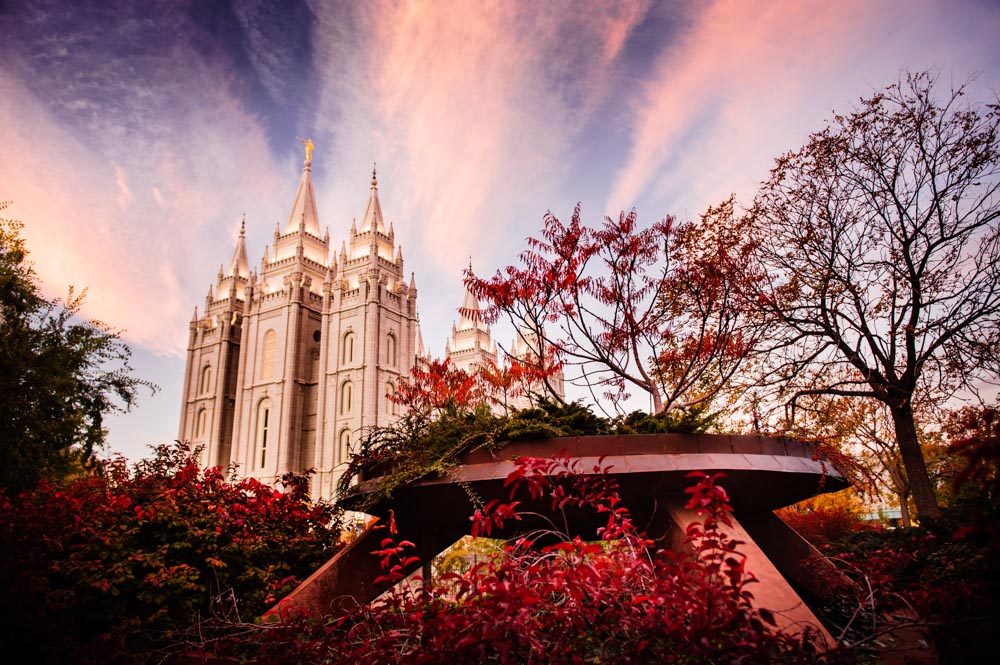 Salt Lake Temple - Red Garden by Scott Jarvie