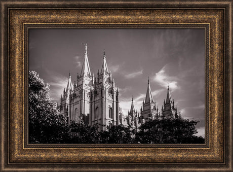 Salt Lake Temple - Black and White by Scott Jarvie