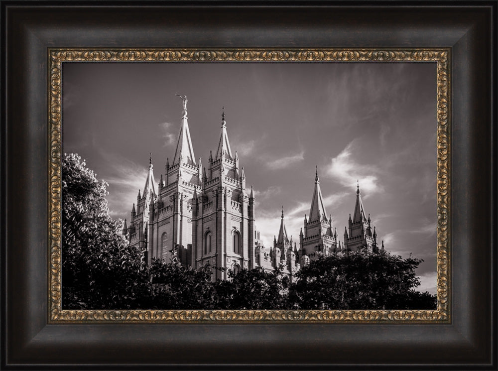 Salt Lake Temple - Black and White by Scott Jarvie