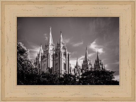 Salt Lake Temple - Black and White by Scott Jarvie