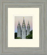 Salt Lake Temple - Morning by Scott Jarvie