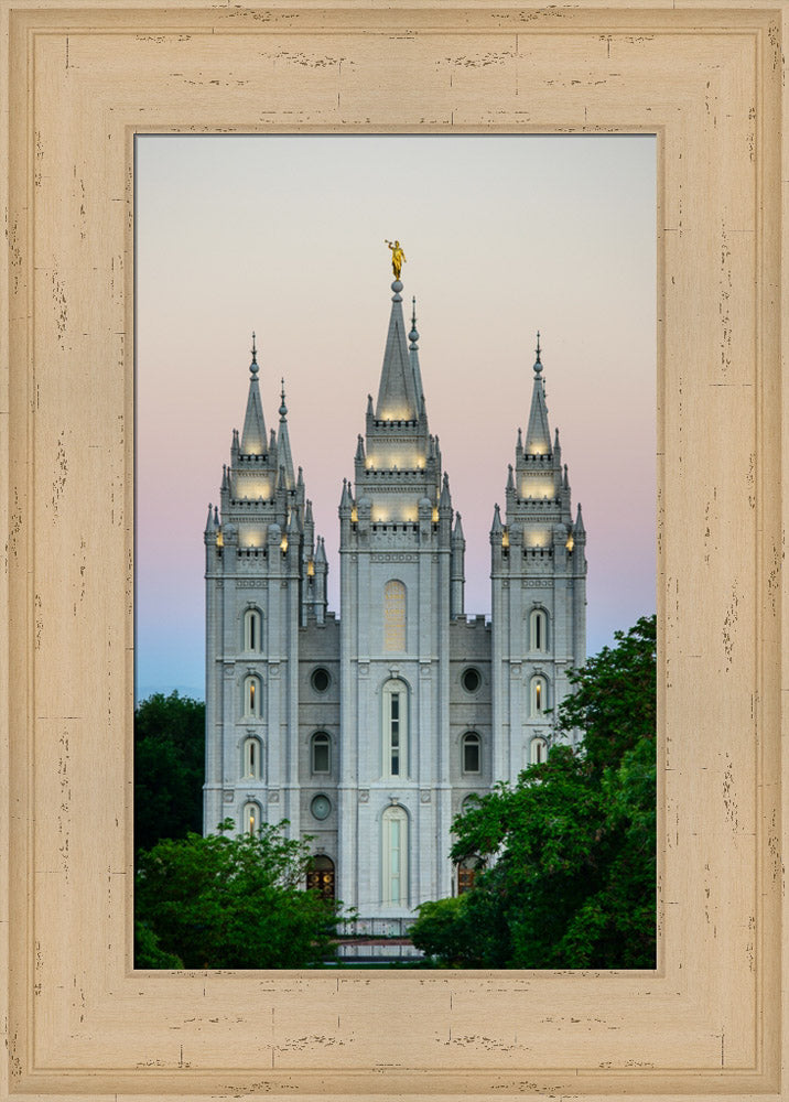 Salt Lake Temple - Morning by Scott Jarvie