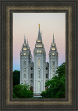 Salt Lake Temple - Morning by Scott Jarvie