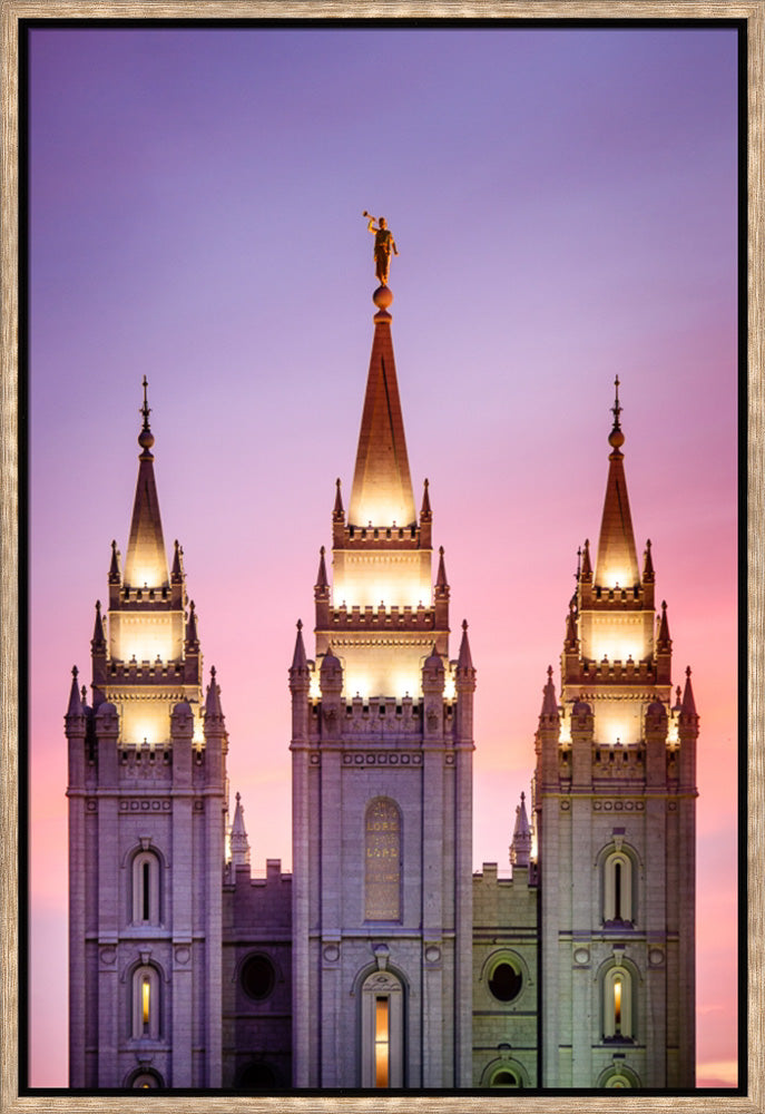 Salt Lake Temple - Pink Spires by Scott Jarvie