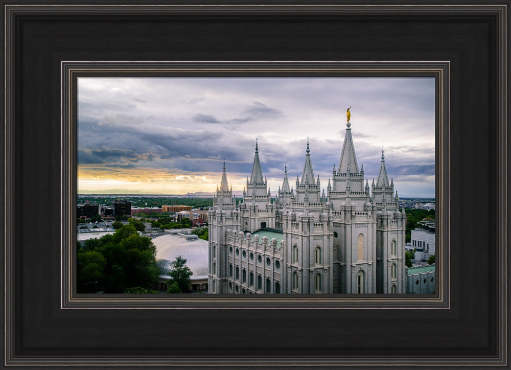 Salt Lake Temple - From Above by Scott Jarvie