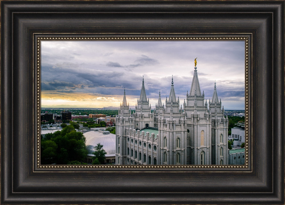 Salt Lake Temple - From Above by Scott Jarvie