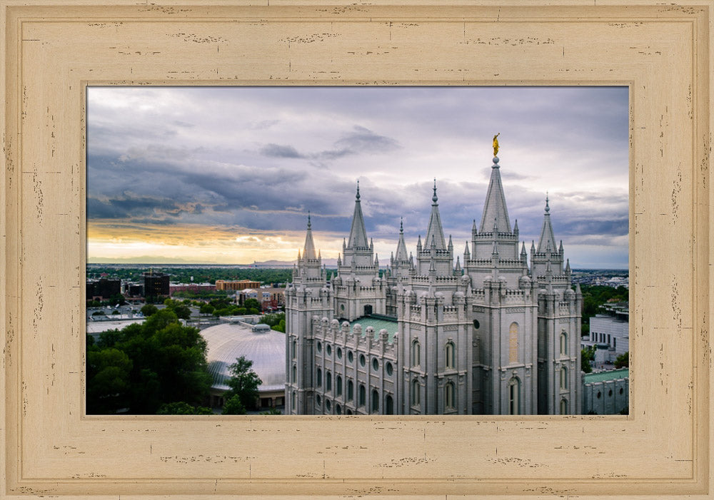 Salt Lake Temple - From Above by Scott Jarvie