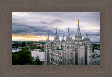 Salt Lake Temple - From Above by Scott Jarvie