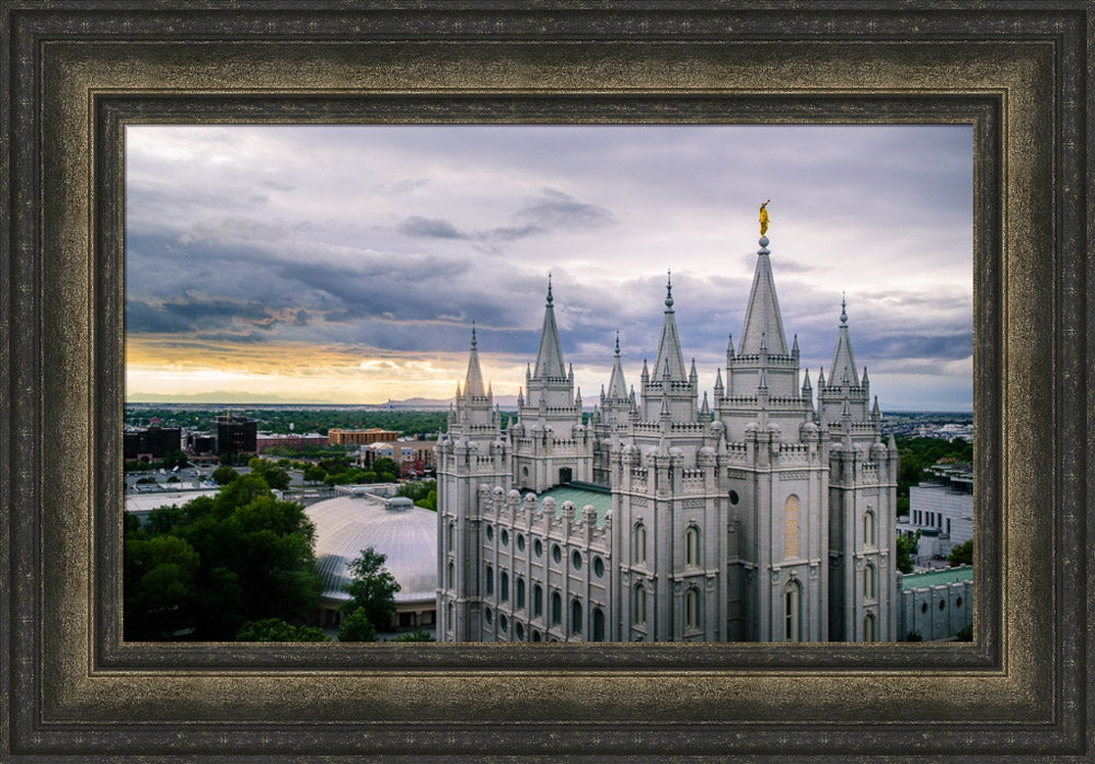 Salt Lake Temple - From Above by Scott Jarvie