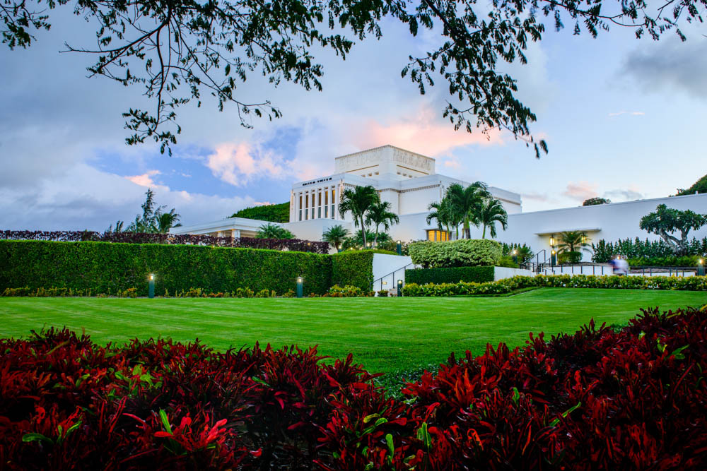 Laie Temple - Through the Trees by Scott Jarvie