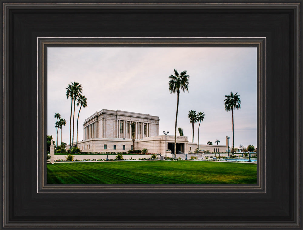 Mesa Temple - Palm Trees by Scott Jarvie