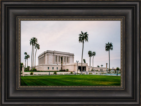 Mesa Temple - Palm Trees by Scott Jarvie