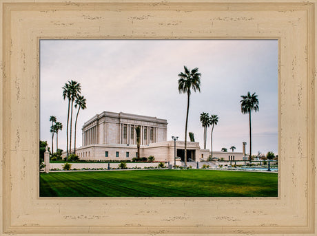 Mesa Temple - Palm Trees by Scott Jarvie