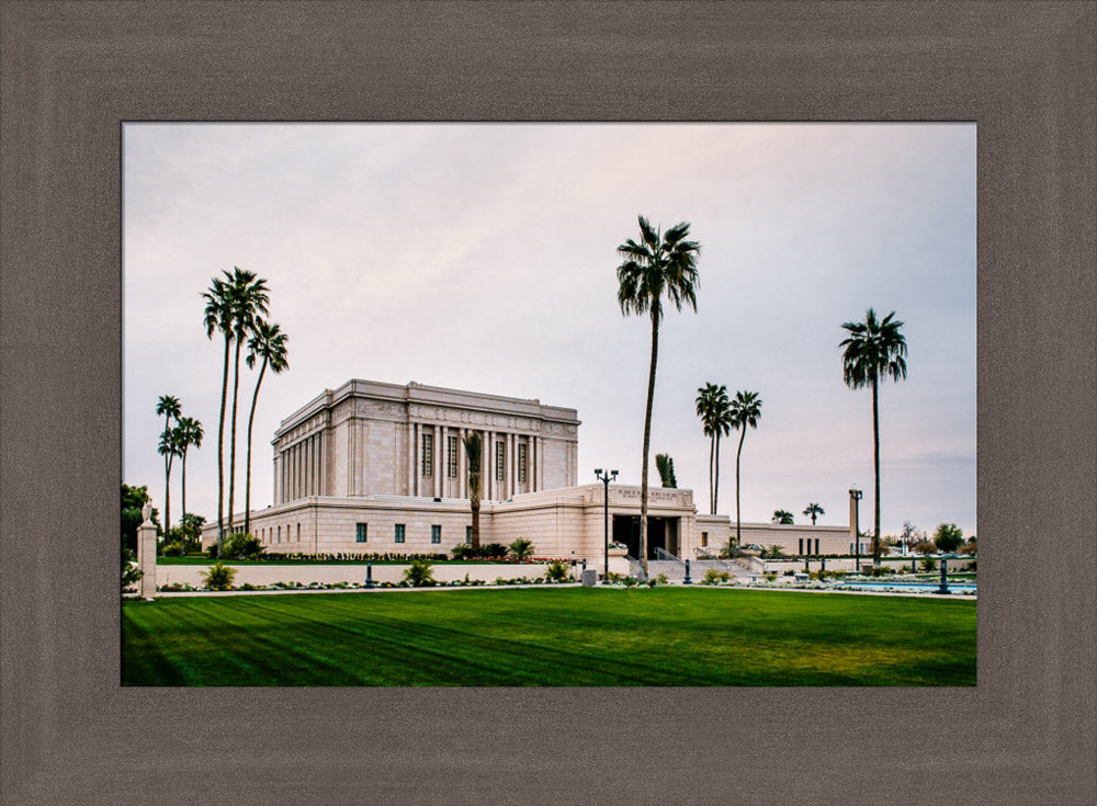 Mesa Temple - Palm Trees by Scott Jarvie