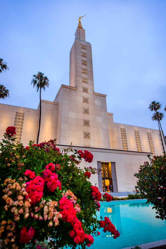 Los Angeles Temple - Red Flowers by Scott Jarvie