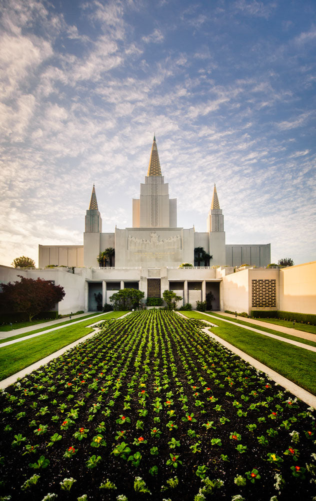 Oakland Temple - Courtyard by Scott Jarvie