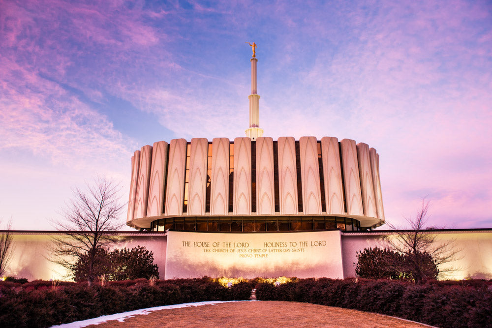 Provo Temple - From the Back by Scott Jarvie