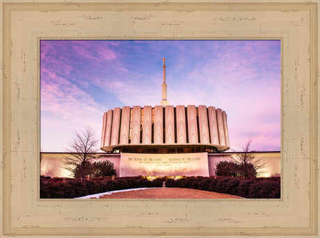 Provo Temple - From the Back by Scott Jarvie