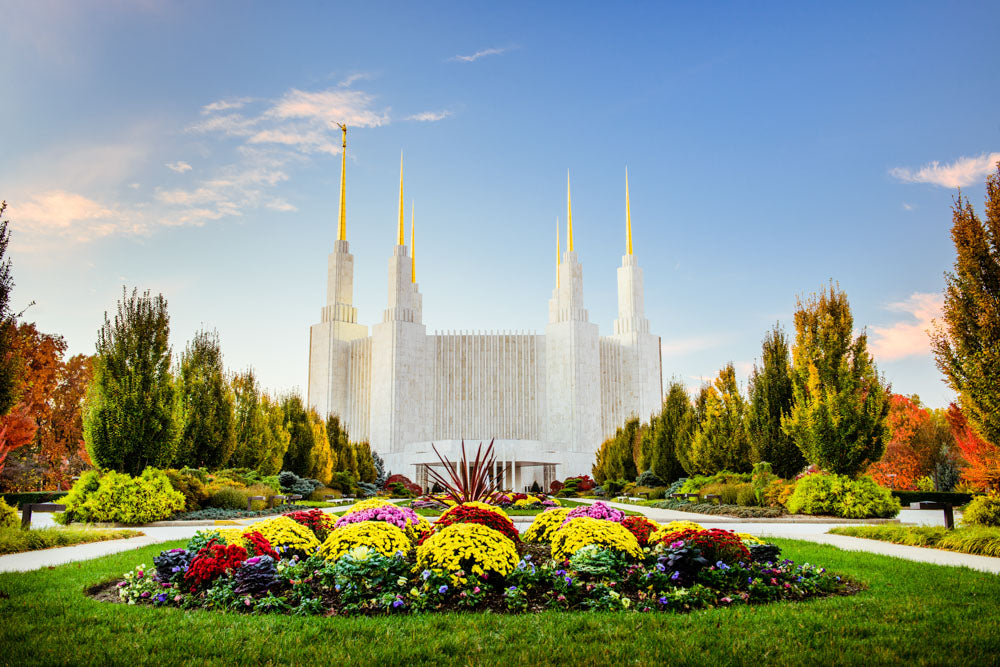 Washington DC Temple - Flowers by Scott Jarvie