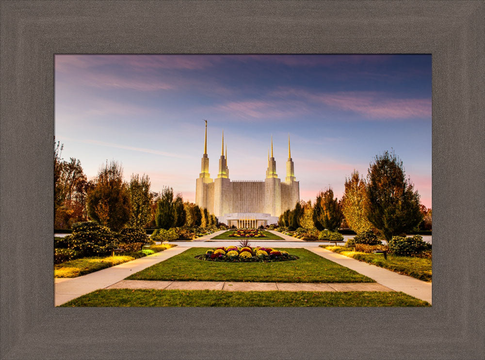 Washington DC Temple - Yellow Christmas Lights by Scott Jarvie