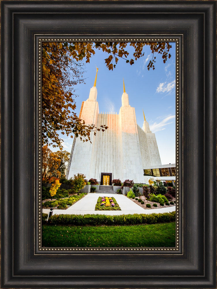 Washington DC Temple - Through the Leaves by Scott Jarvie