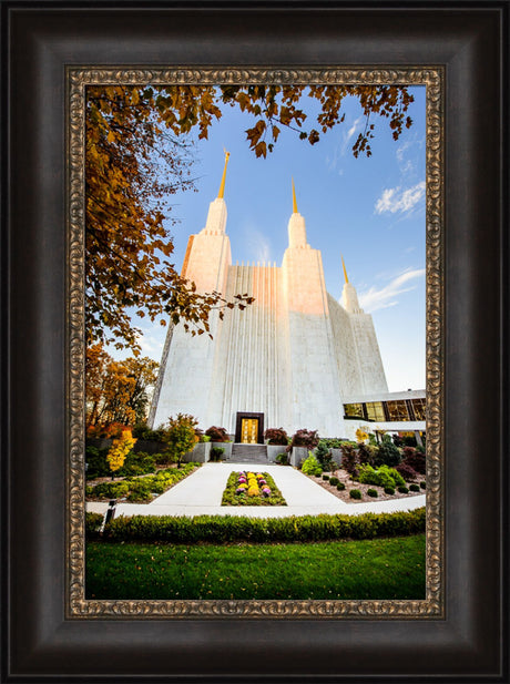 Washington DC Temple - Through the Leaves by Scott Jarvie