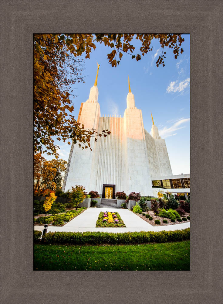 Washington DC Temple - Through the Leaves by Scott Jarvie