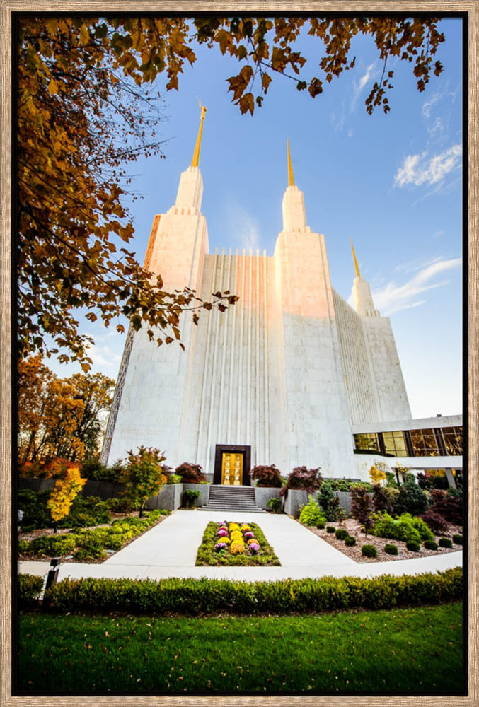 Washington DC Temple - Through the Leaves by Scott Jarvie