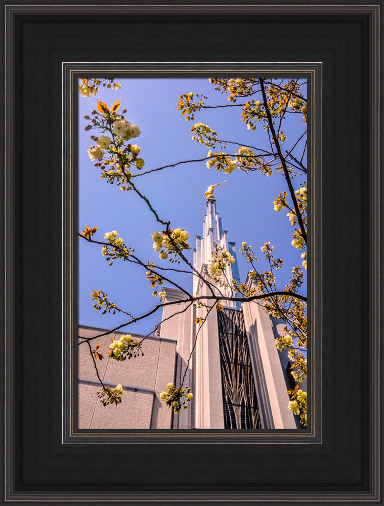 Tokyo Temple - Through the Trees by Scott Jarvie