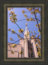 Tokyo Temple - Through the Trees by Scott Jarvie