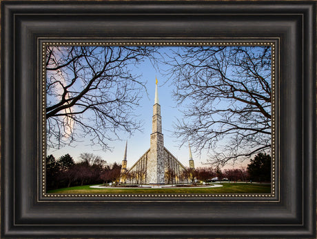 Chicago Temple - Through Trees Horizontal by Scott Jarvie