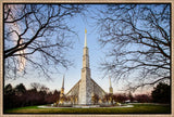 Chicago Temple - Through Trees Horizontal by Scott Jarvie