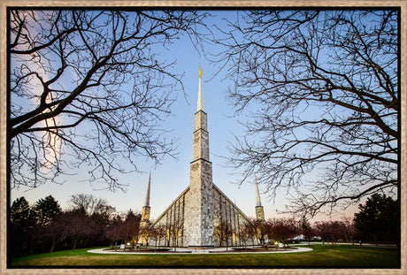 Chicago Temple - Through Trees Horizontal by Scott Jarvie