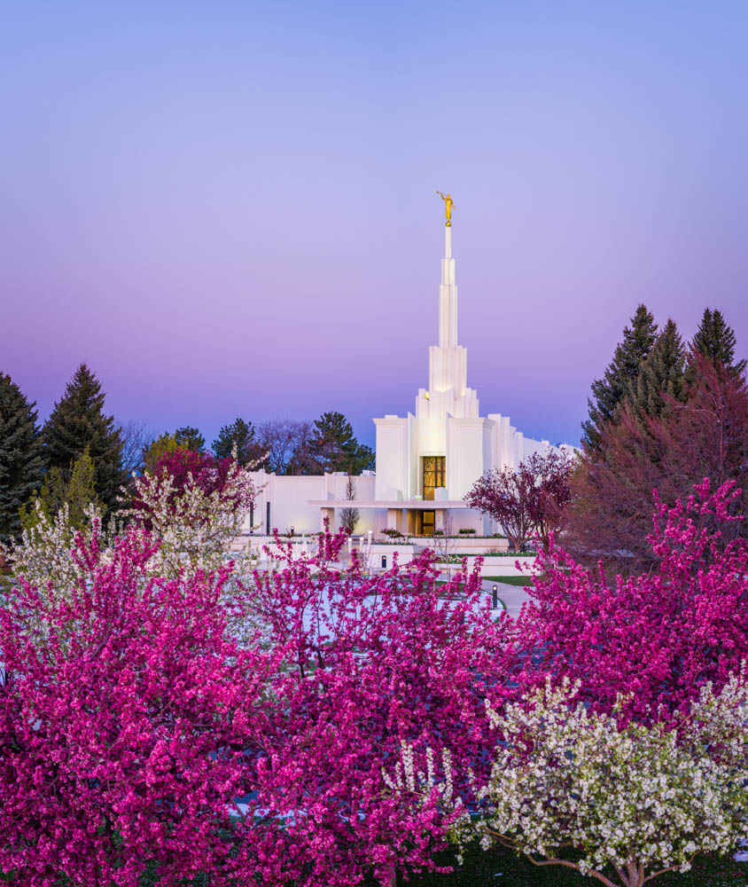 Denver Temple - Colorful Morning by Scott Jarvie