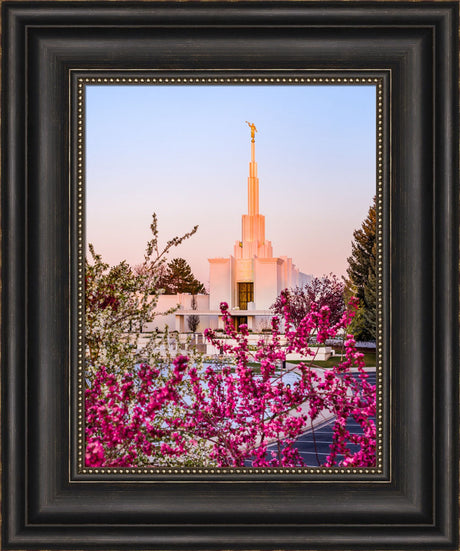 Denver Temple - Spring Sunrise by Scott Jarvie