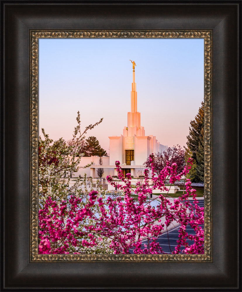 Denver Temple - Spring Sunrise by Scott Jarvie