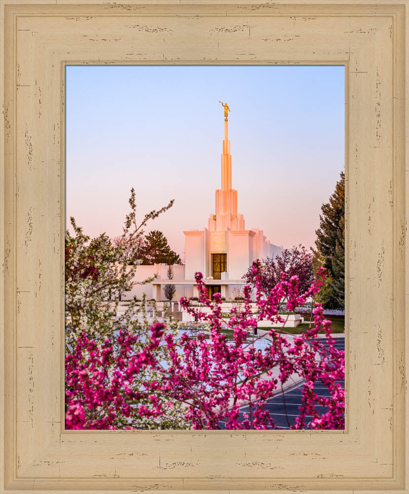 Denver Temple - Spring Sunrise by Scott Jarvie