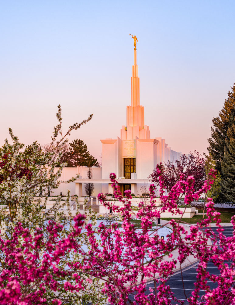 Denver Temple - Spring Sunrise by Scott Jarvie